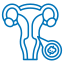 Expert Gynaecology Services
